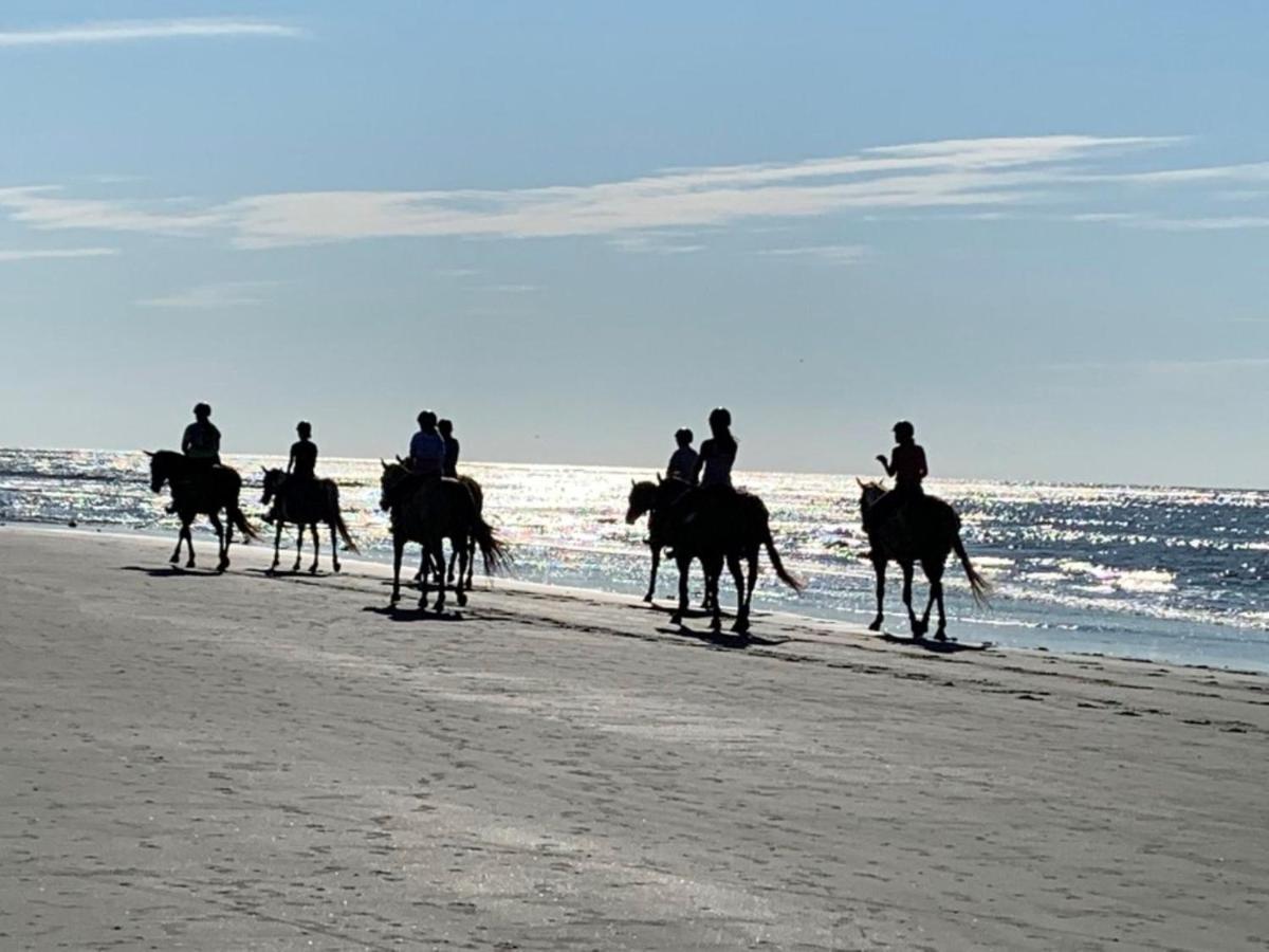 1313 Pelican Watch - Seabrook Island - Beachfront 5 Star Condo - Fido Friendly Bagian luar foto