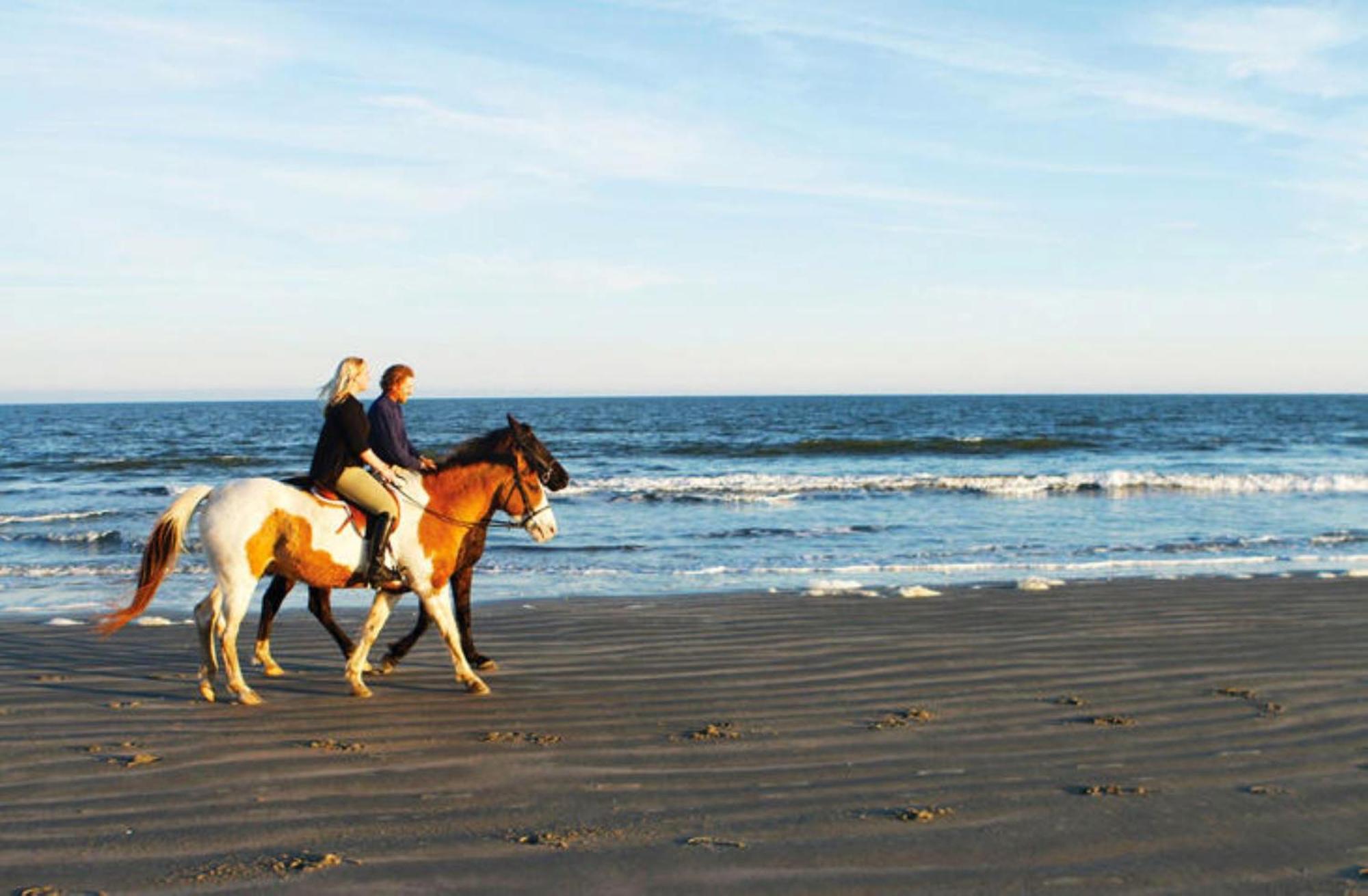1313 Pelican Watch - Seabrook Island - Beachfront 5 Star Condo - Fido Friendly Bagian luar foto